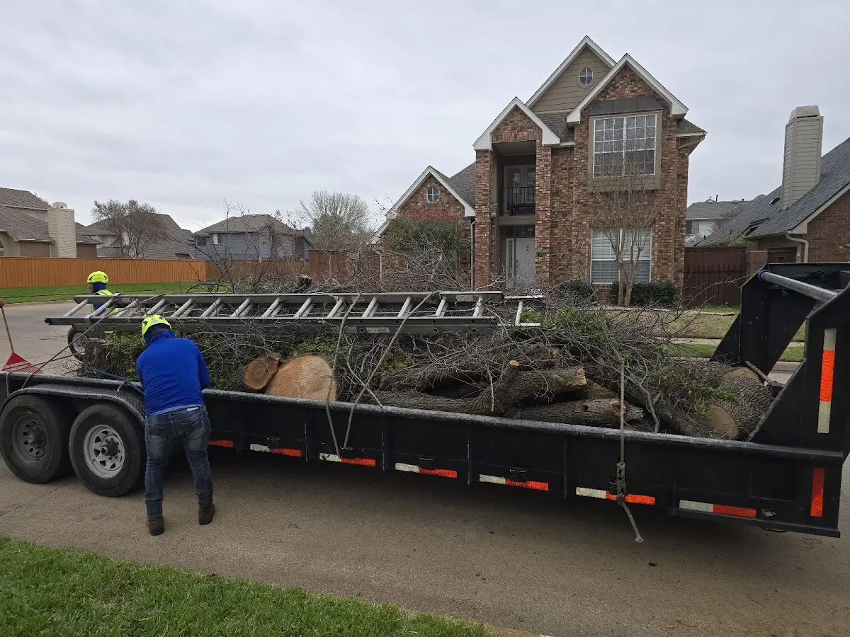 Expert Tree Removal with proper safety equipment in Lehigh